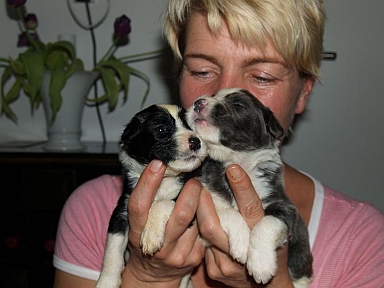 Easy Lover & Emerson Earthquake